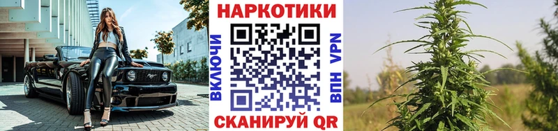 Какие есть наркотики Алексин МАРИХУАНА  Alpha-PVP  АМФ  Cocaine  Галлюциногенные грибы  ГАШ 